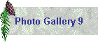 Photo Gallery 9