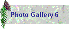 Photo Gallery 6