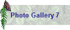 Photo Gallery 7