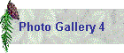 Photo Gallery 4